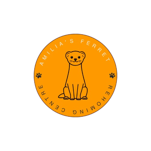 amilia s ferret removebg preview