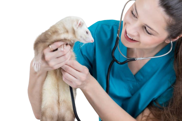 gettyimages 847887182 612x612 removebg preview