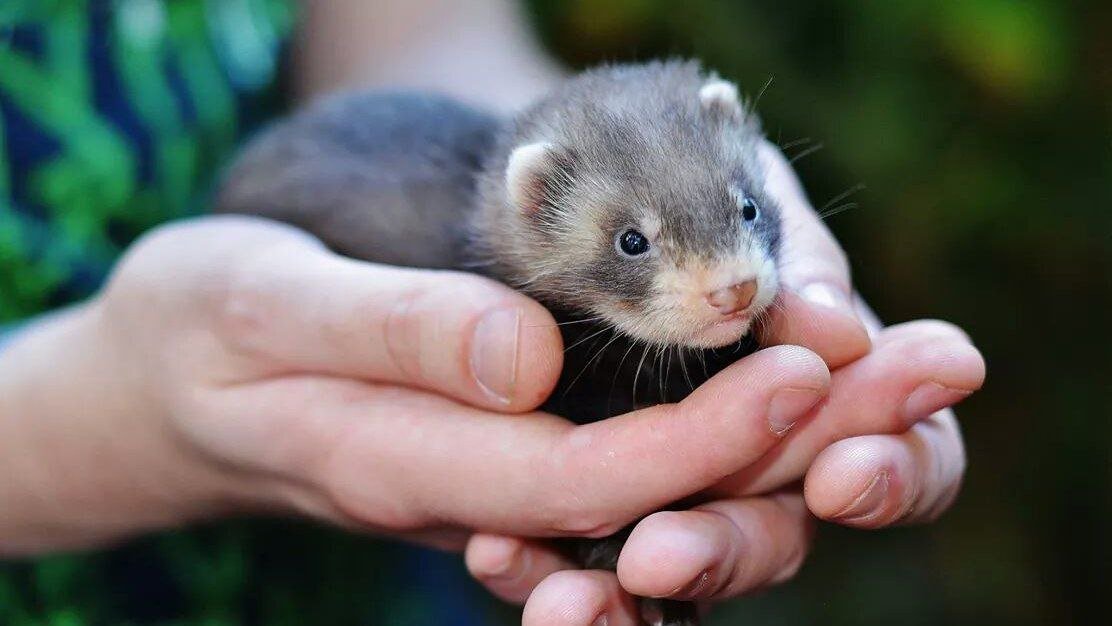 photo 2026 03 11 19 55 49