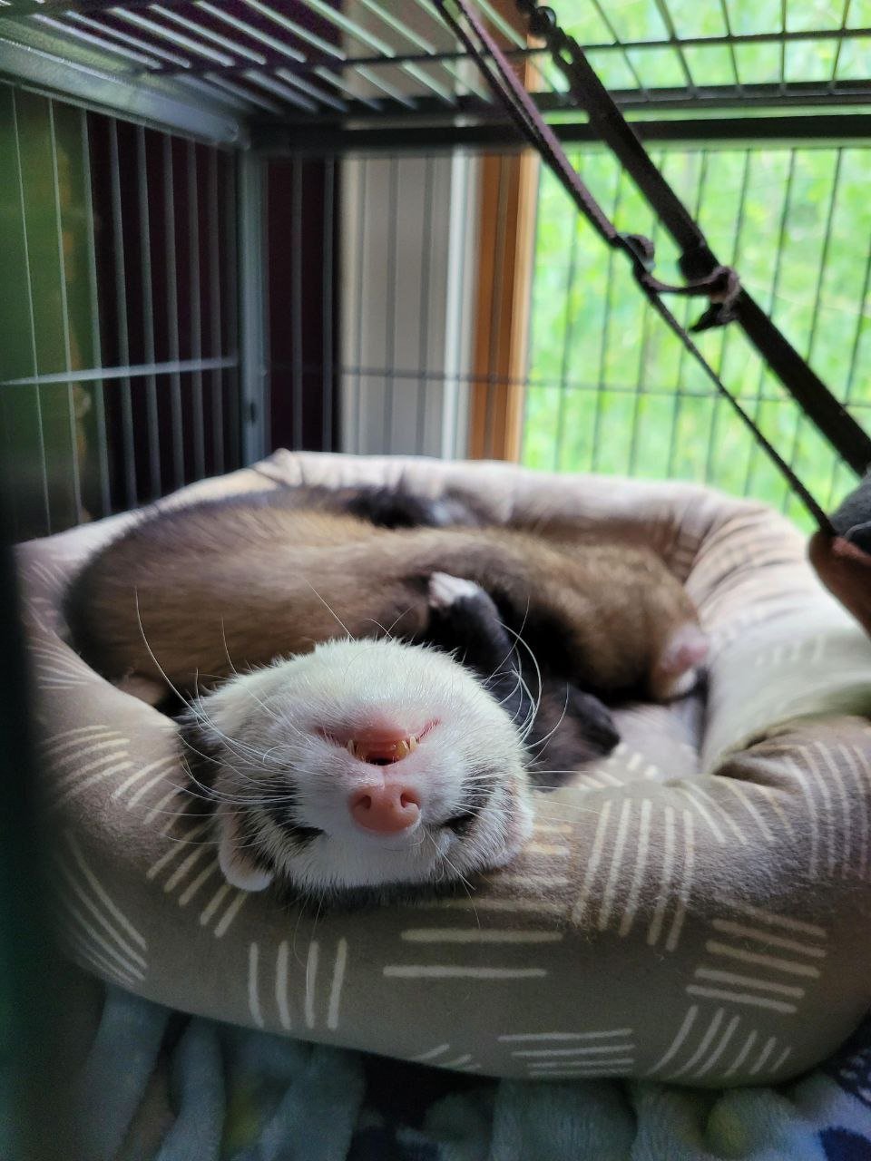 photo 2026 03 11 19 56 33