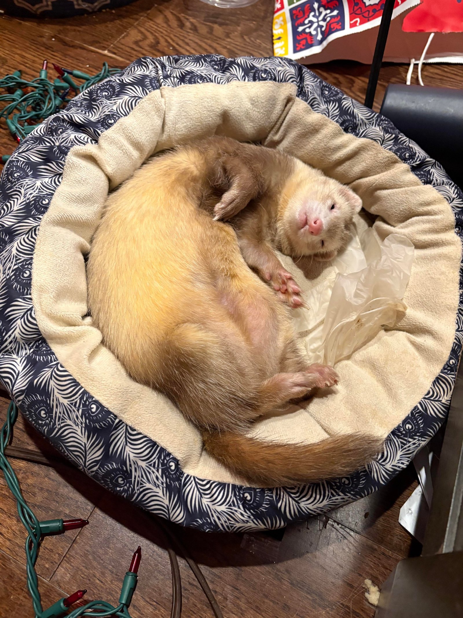 photo 2026 03 14 14 22 16