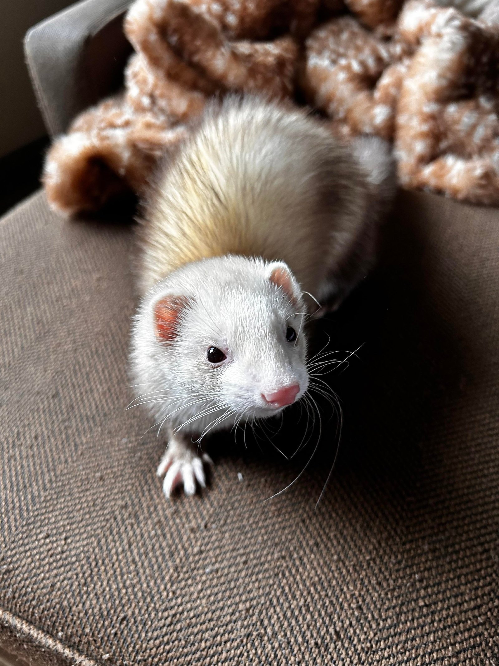 photo 2026 03 14 14 22 55