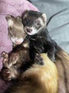 Leo & Max