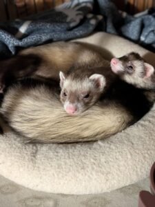Zara & Skye